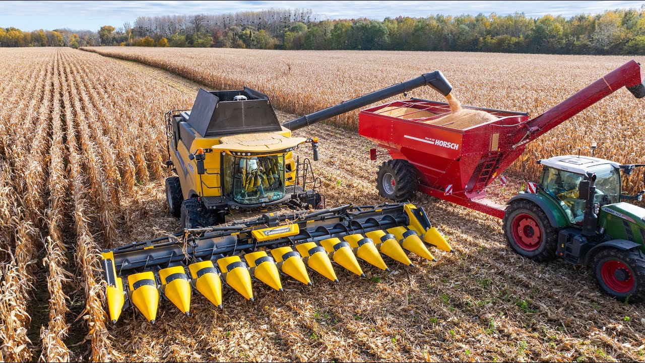 New Holland CR 8.90 + Geringhoff MSH 1230FB — 12-рядная складная жатка для кукурузы в действии.