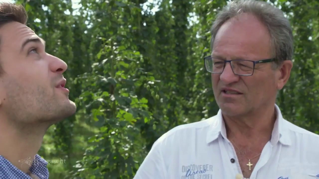 Von Bierbrauern und Hopfenbauern