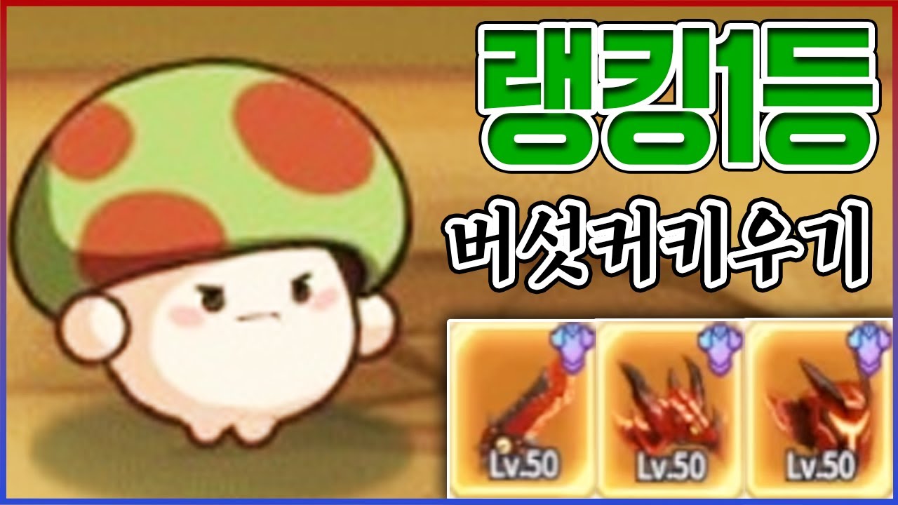 만원 지르고 랭킹 1등함ㅋㅋㅋ도대체 왜 재밌냐?ㅋㅋㅋㅋ【버섯커 키우기】