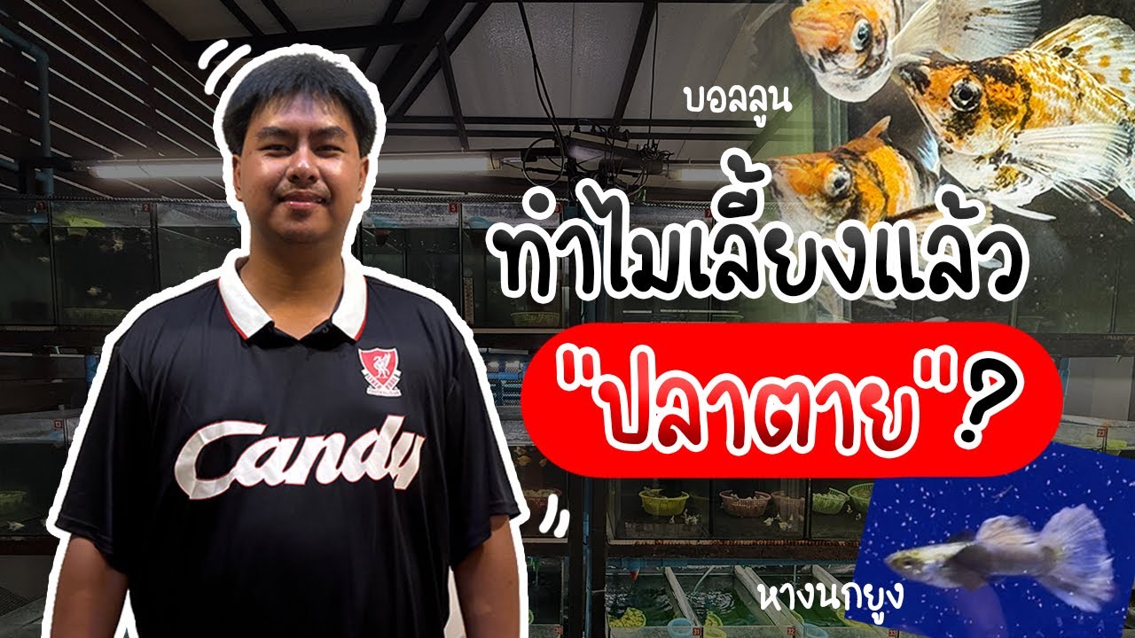รู้อะไรไม่เท่ารู้งี้ EP78. ทำไมเลี้ยงแล้วปลาตาย ?