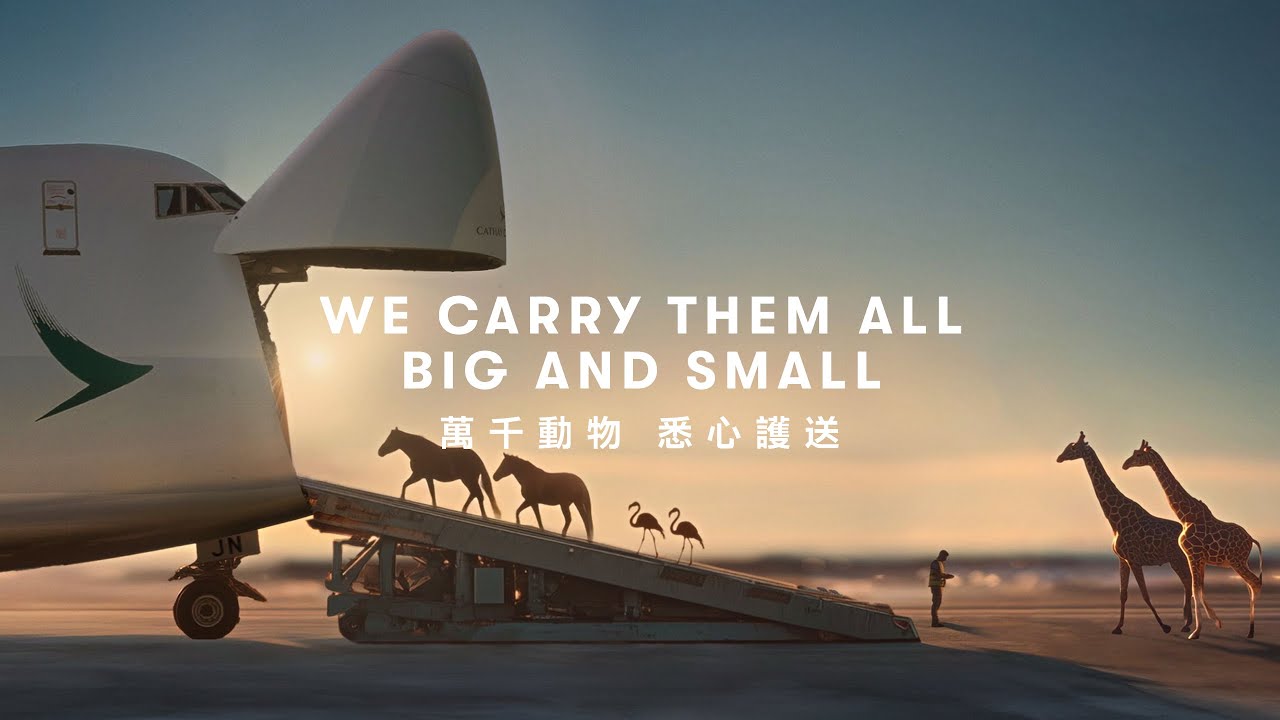 [CATHAY LIVE ANIMAL] We carry them all, big and small｜【國泰—動物運送】萬千動物 悉心護送