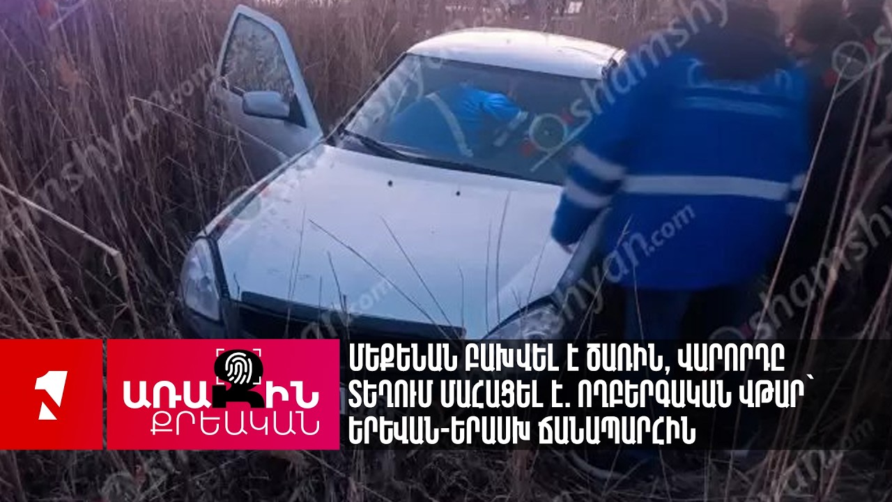 Մեքենան բախվել է ծառին, վարորդը տեղում մահացել է. ողբերգական վթար՝ Երևան-Երասխ ճանապարհին