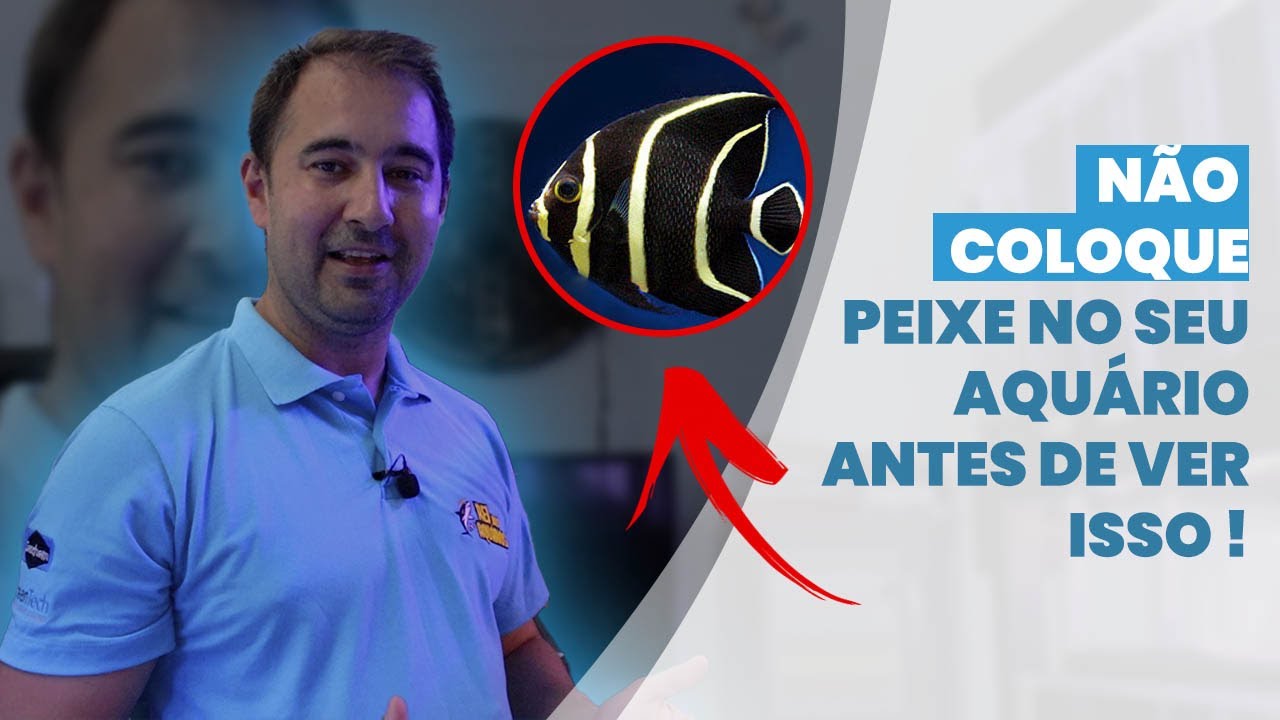 Como ACLIMATAR seus peixes da forma correta #REIDOSAQUARIOS
