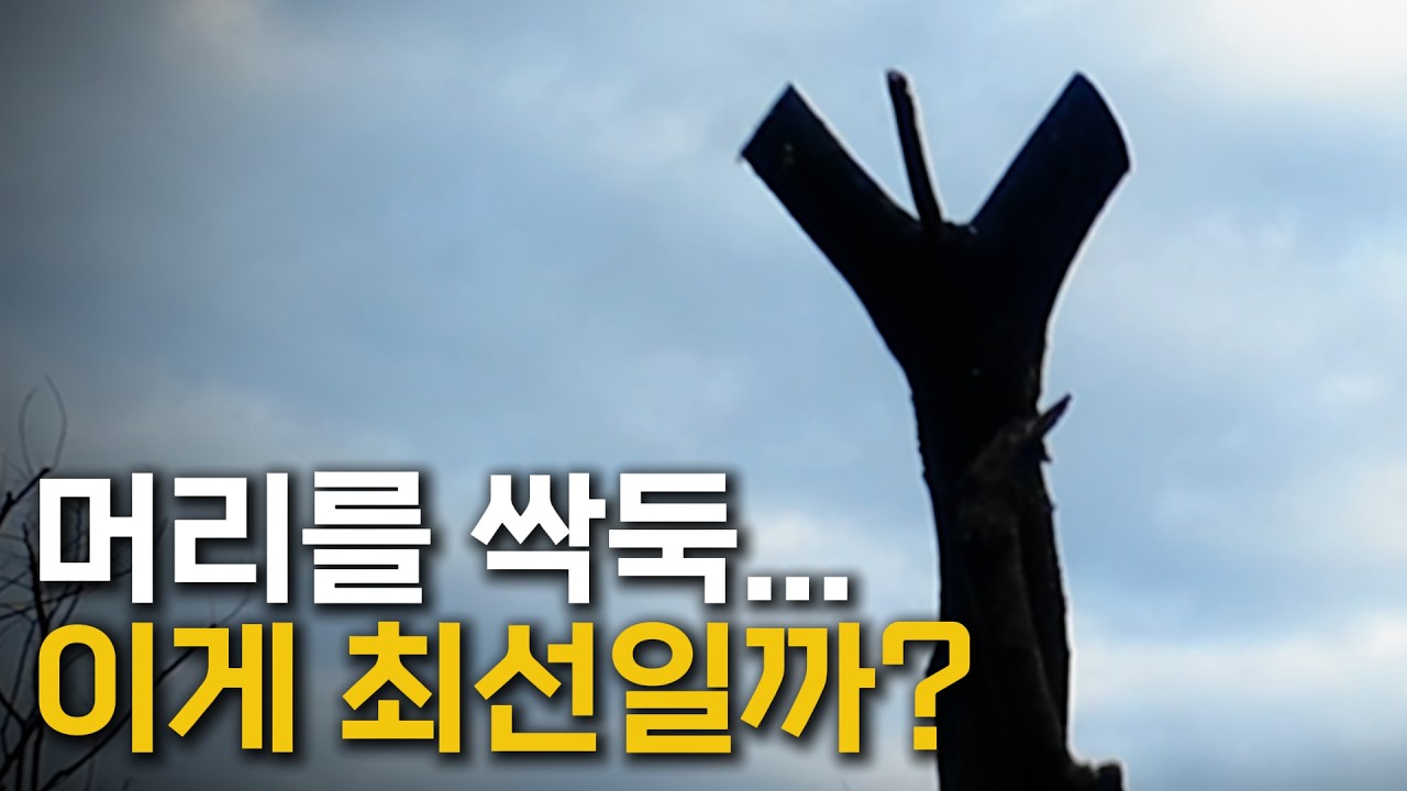 왜 이렇게까지 잘라낼까? (두목작업)