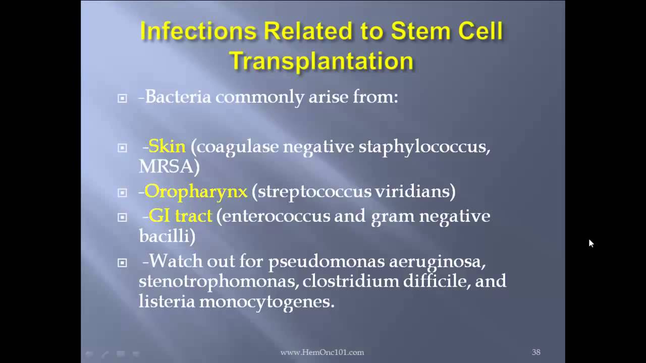 Stem Cell Transplantation | Dr. Tony Talebi lectures on Hematopoietic Stem Cell transplantation