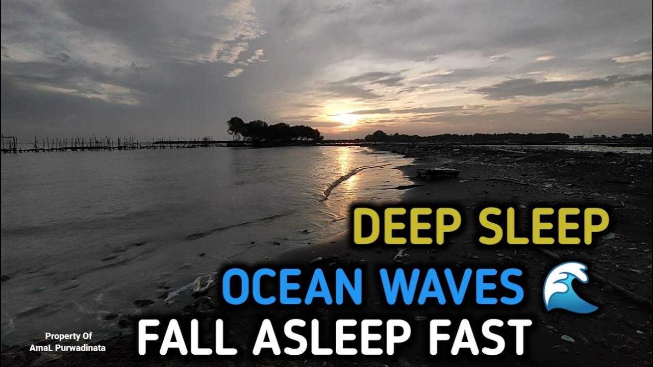 Fall Asleep Fast with Ocean Waves | Night Beach Ambience 🌊