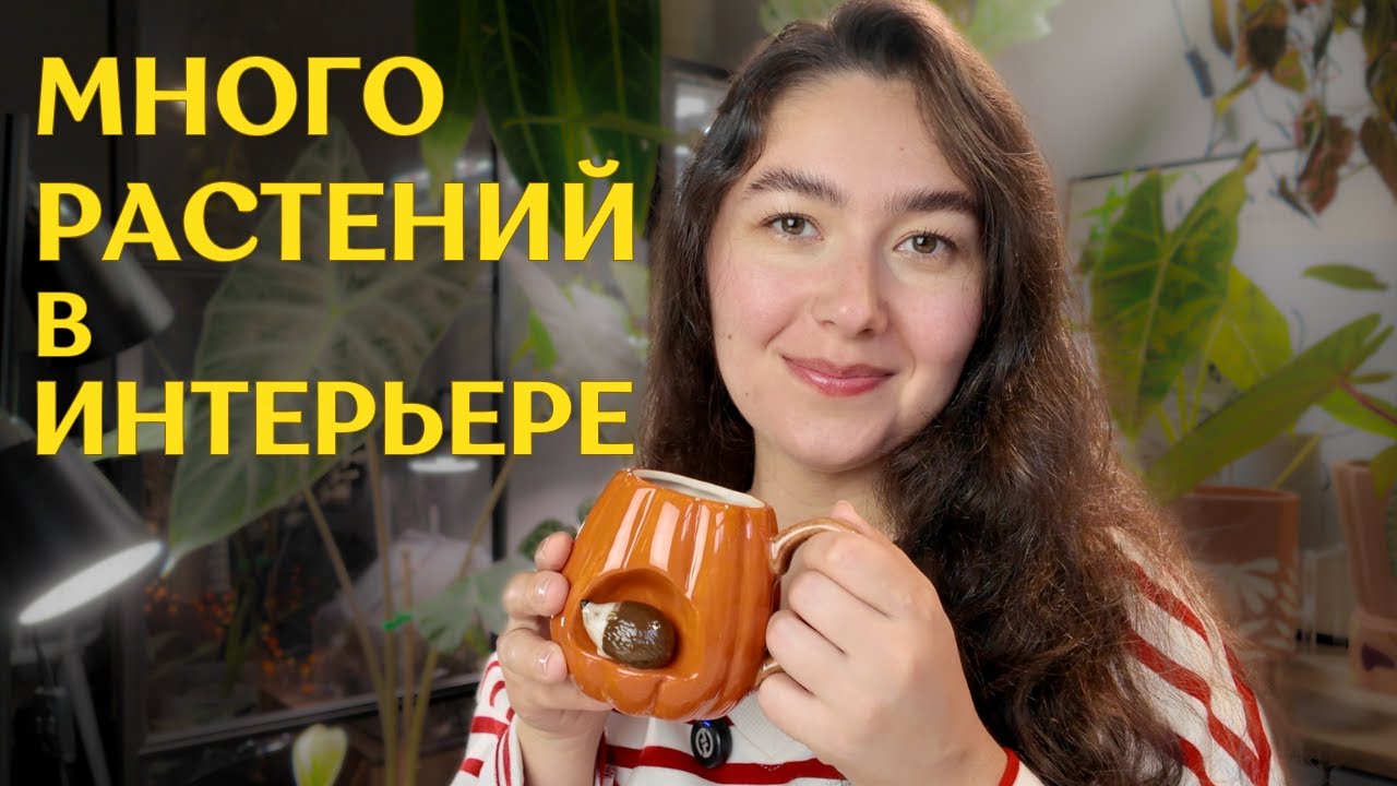 КАК КРАСИВО разместить в квартире МНОГО РАСТЕНИЙ | растения В ИНТЕРЬЕРЕ | ИДЕИ и РЕФЕРЕНСЫ ✨
