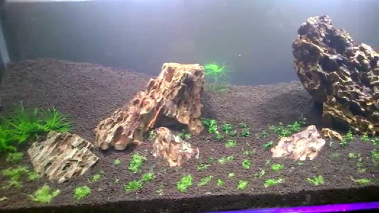 Ecotech Radion XR15 Freshwater