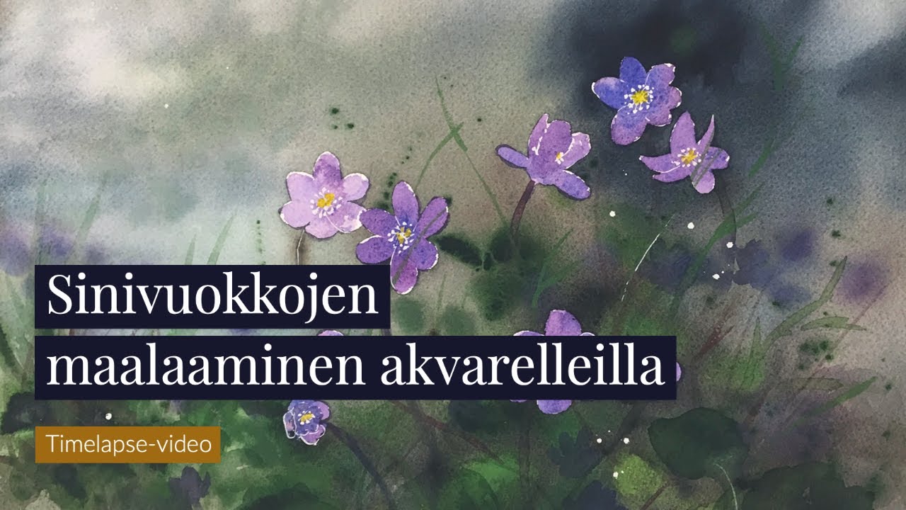 Sinivuokon maalaaminen akvarelleilla