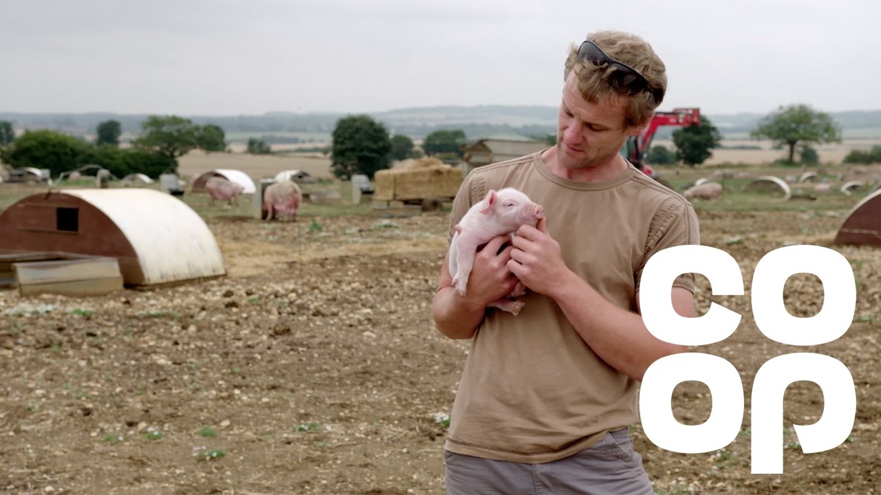 Co-op Food | Meet the Producer - British Pork