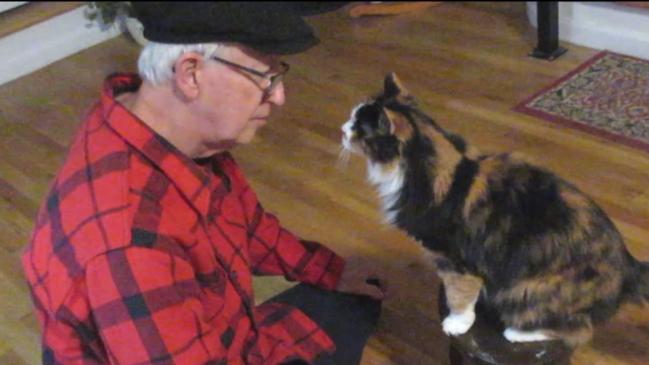 Man Plays Ukulele and Sings to His Cat.