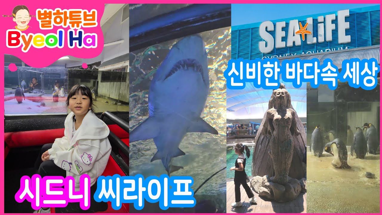 시드니 여행 필수 코스! 씨라이프 아쿠아리움 🦈