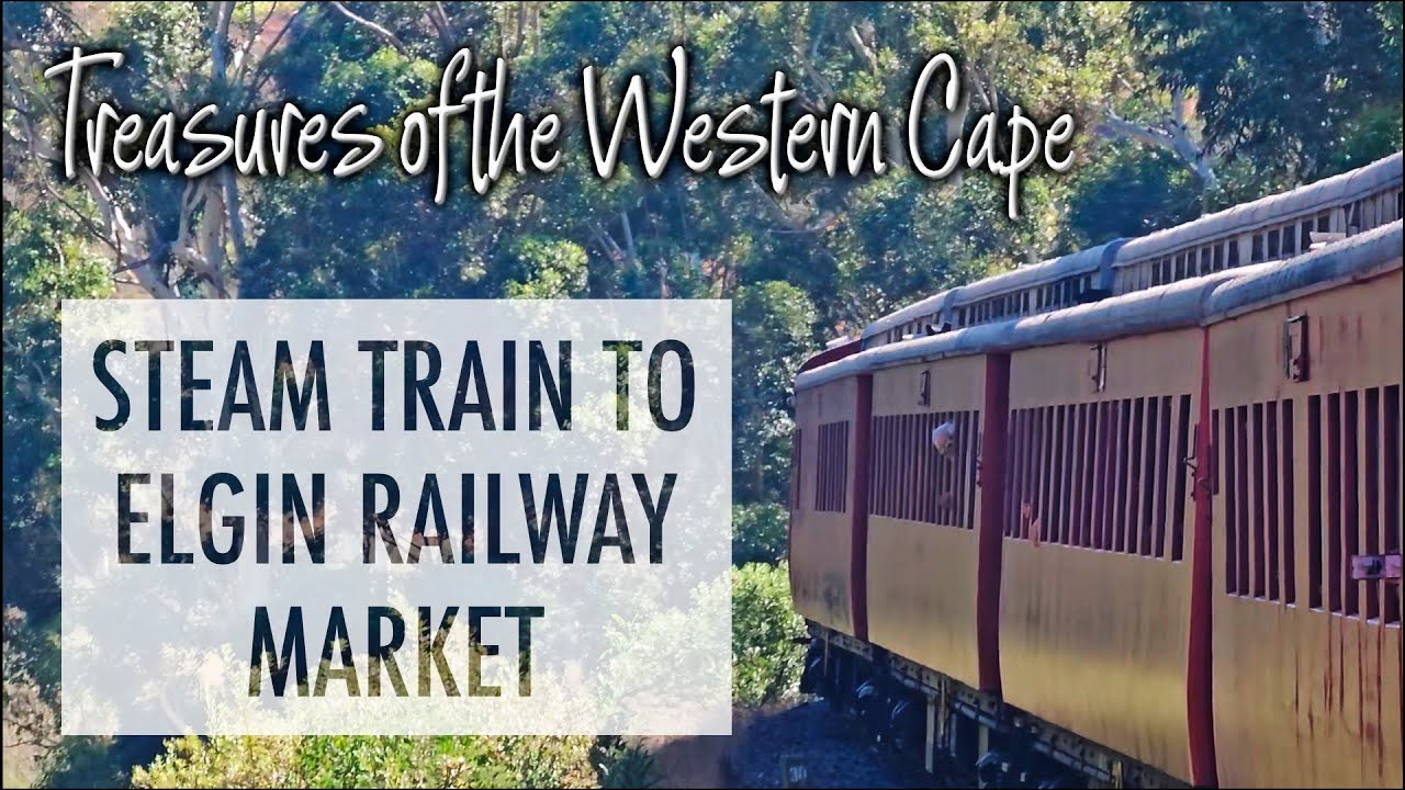 Treasures of the Western Cape   Steam Train to Elgin