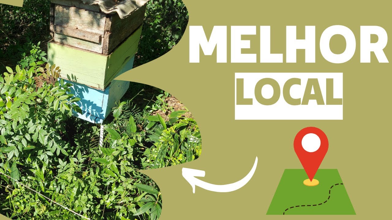 QUAL O MELHOR LOCAL PARA UM API&Aacute;RIO ???