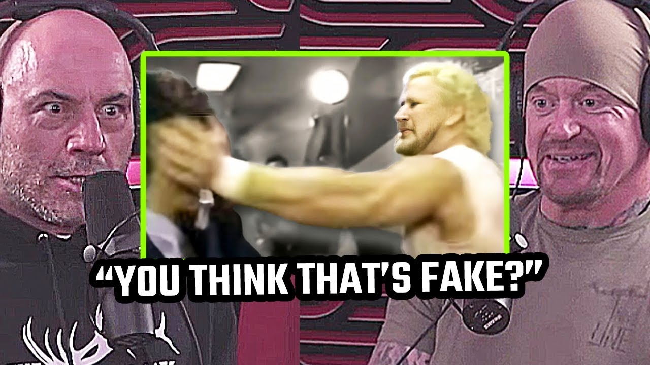 Joe Rogan & Undertaker Watch Back The Infamous David Schultz Slapped Reporter