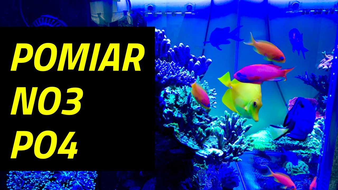 W jaki sposób mierzę PO4 i NO3?  Interpretacja wyników. Akwarium morskie 350l. REEF Tank 92g