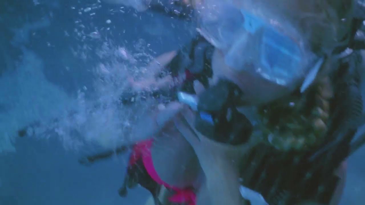 The female scuba diver and the sharpest net in history!