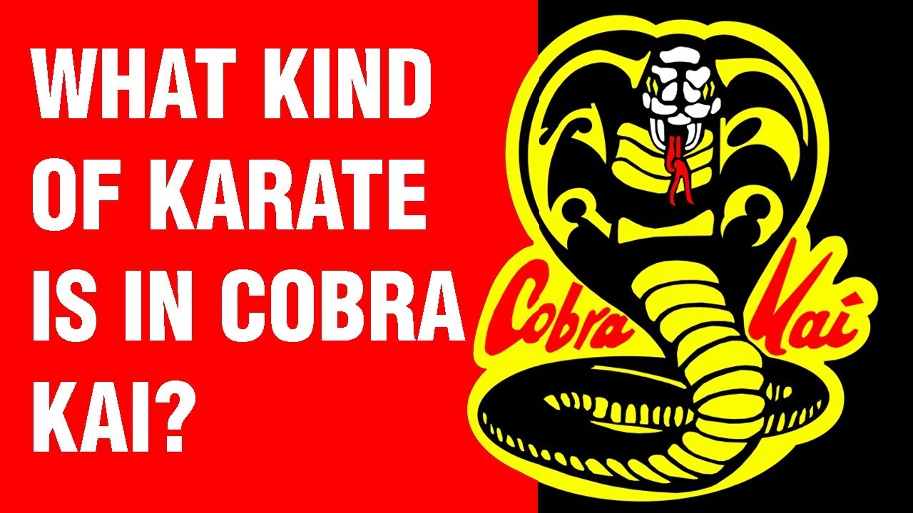 Какой вид каратэ представлен в «Кобра Кай»? | ART OF ONE DOJO