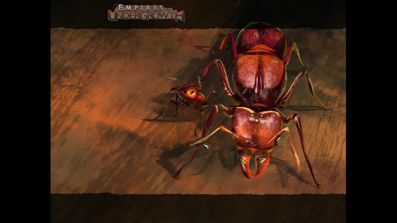 МУРАВЬИ ЛИСТОРЕЗЫ EMPIRES OF THE UNDERGROWTH #empiresoftheundergrowth