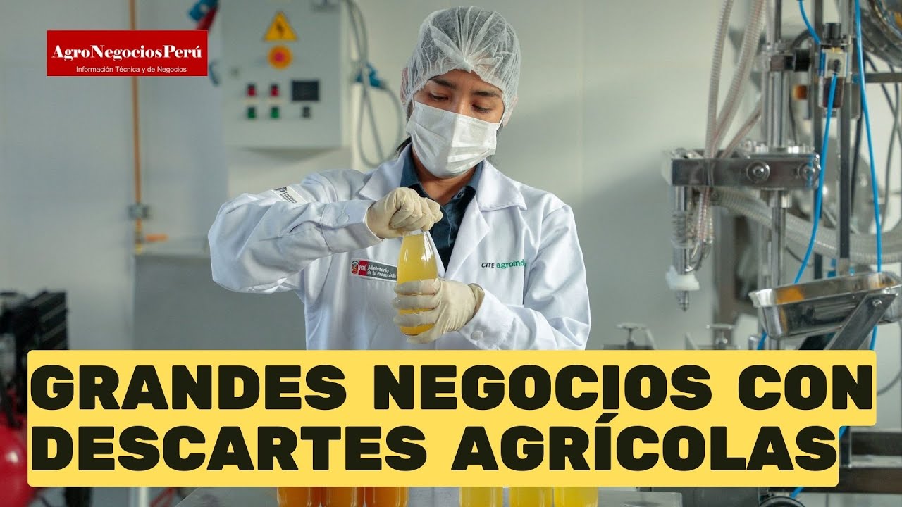 Productos agrícolas pueden convertirse en grandes negocios con innovación
