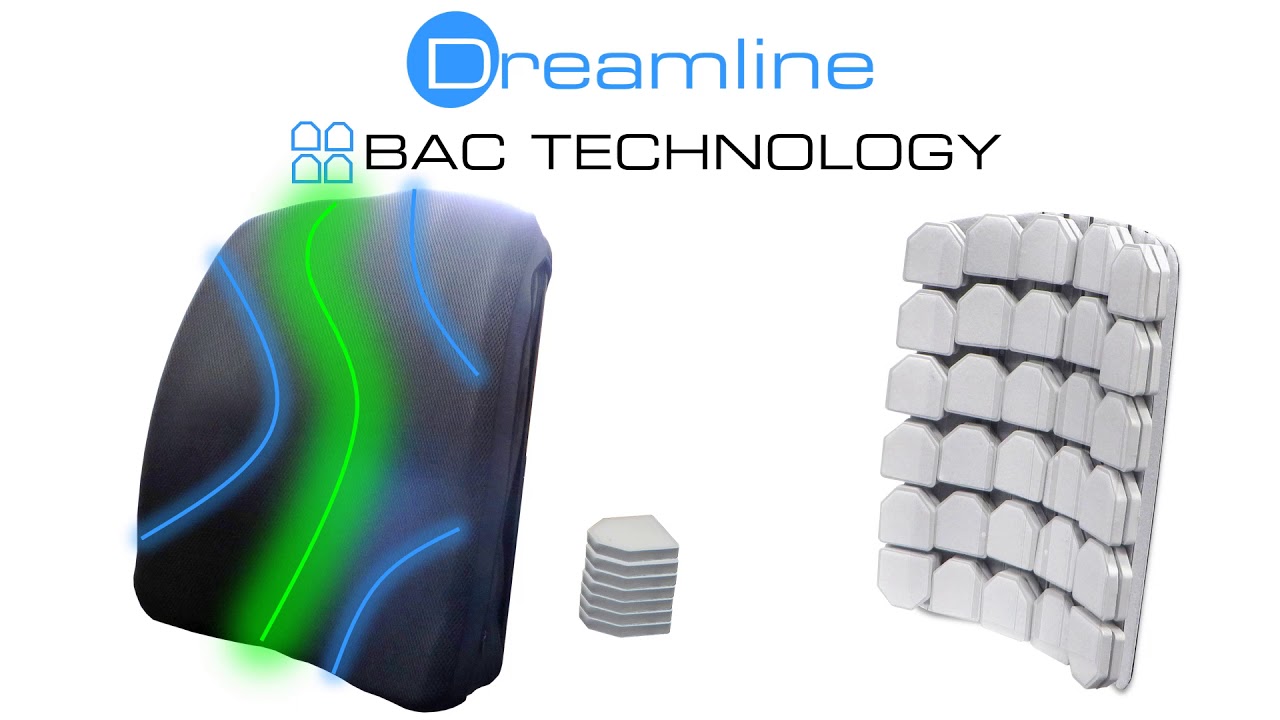 BAC System Technology