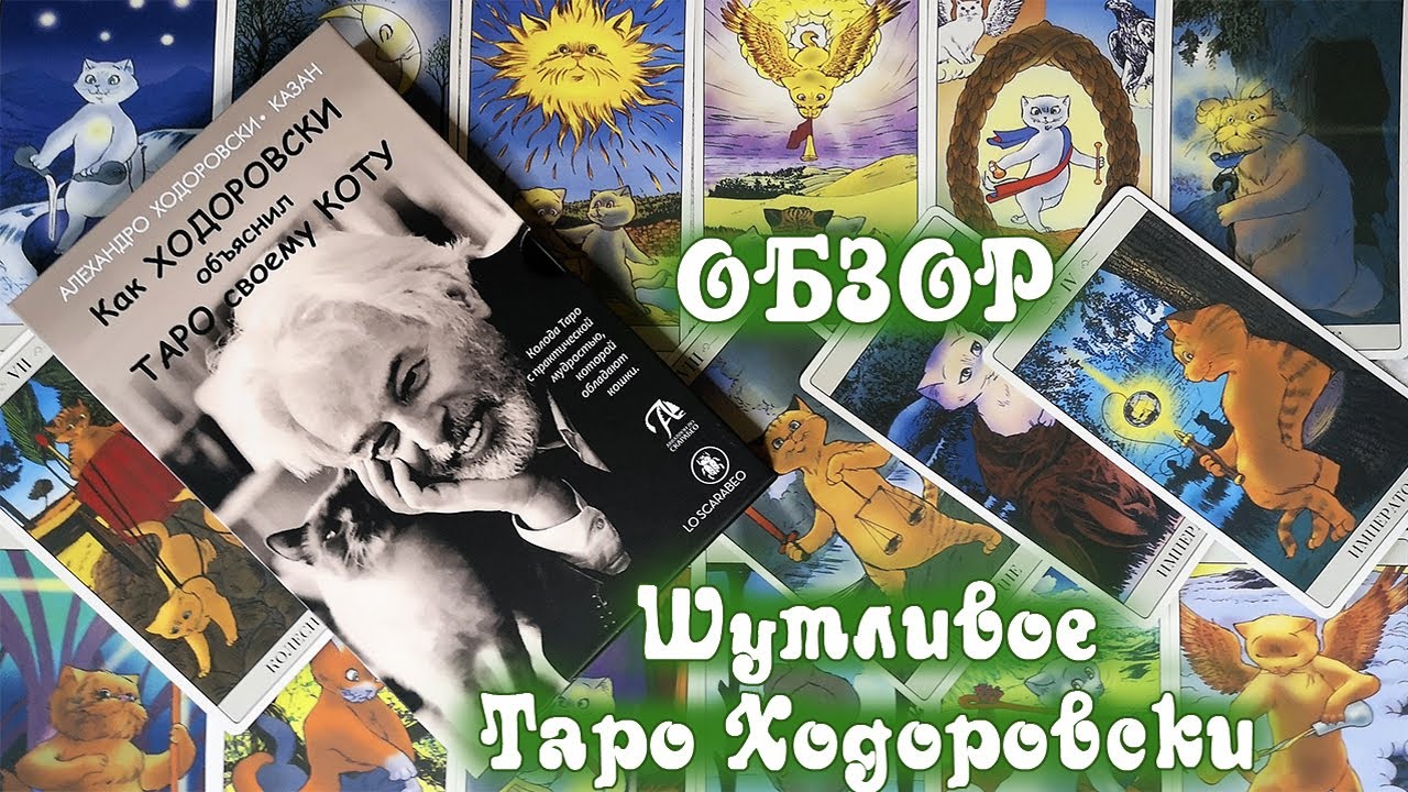 Как Ходоровски объяснил Таро своему коту - Обзор набора от Аввалон - Lo Scarabeo