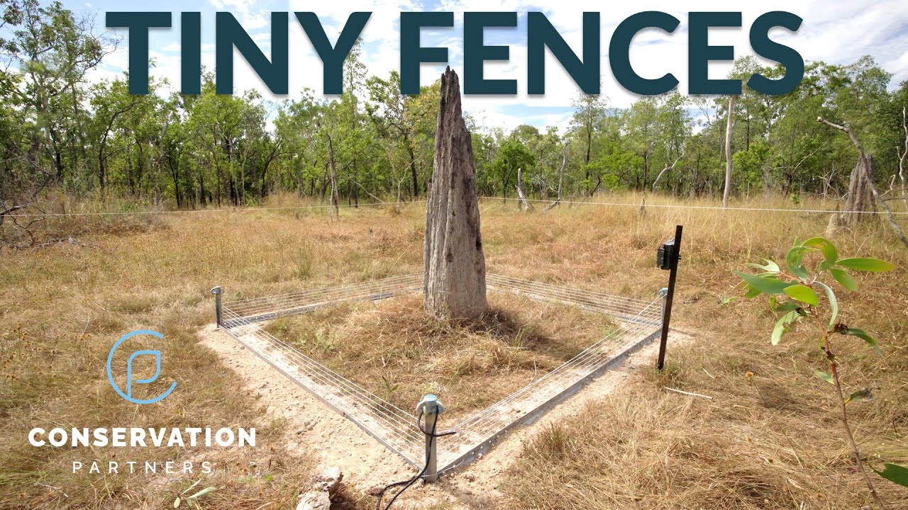 Tiny Fences - Conservation Partners