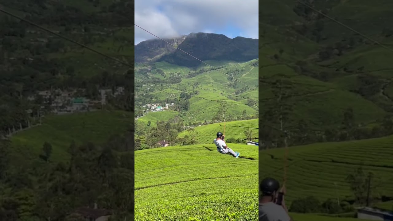 Munnar #shortvideo #shots #shortsfeed #suryanelli #munnar