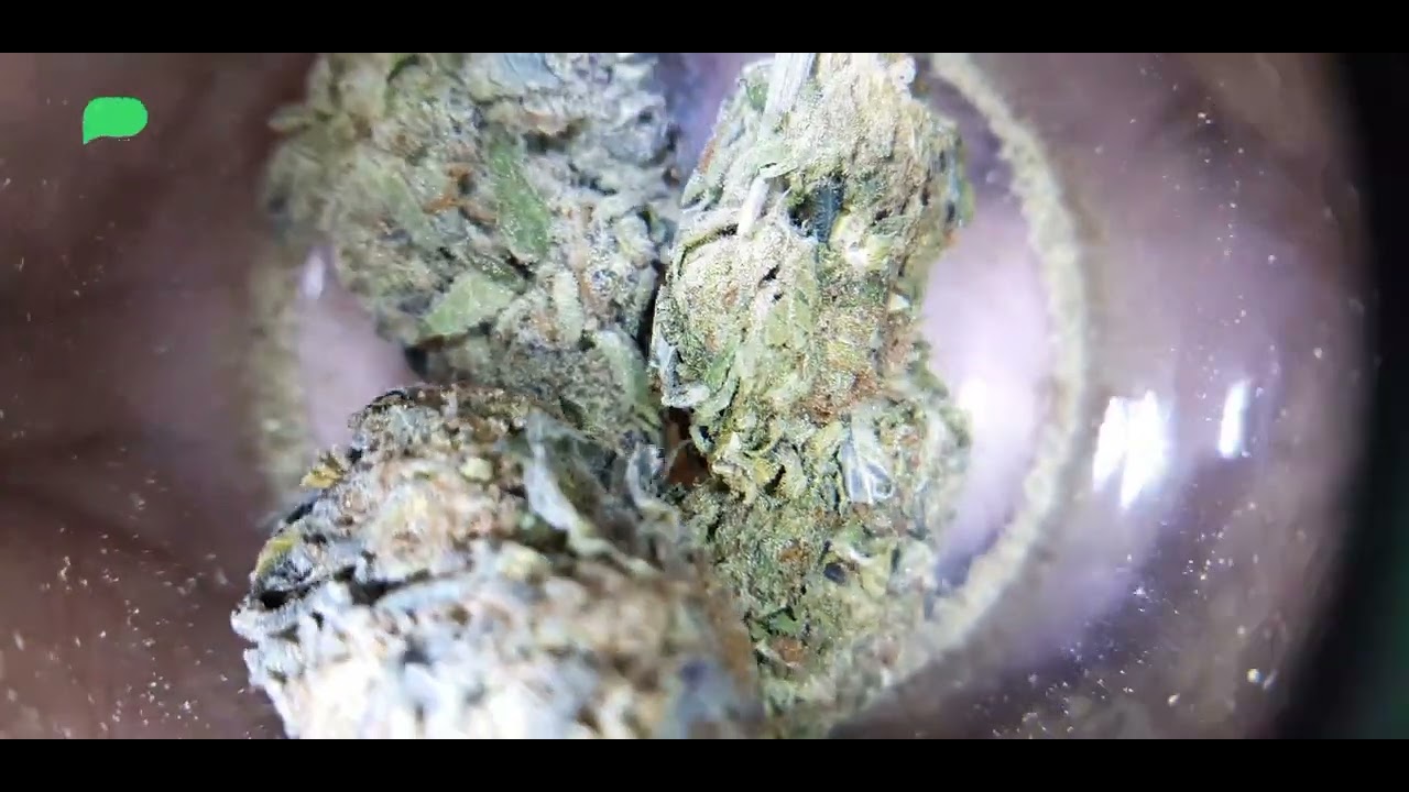 THCA SMALL BUDS ..Новая партия. Честный отзыв о THCA #thcareview ##Новая партия