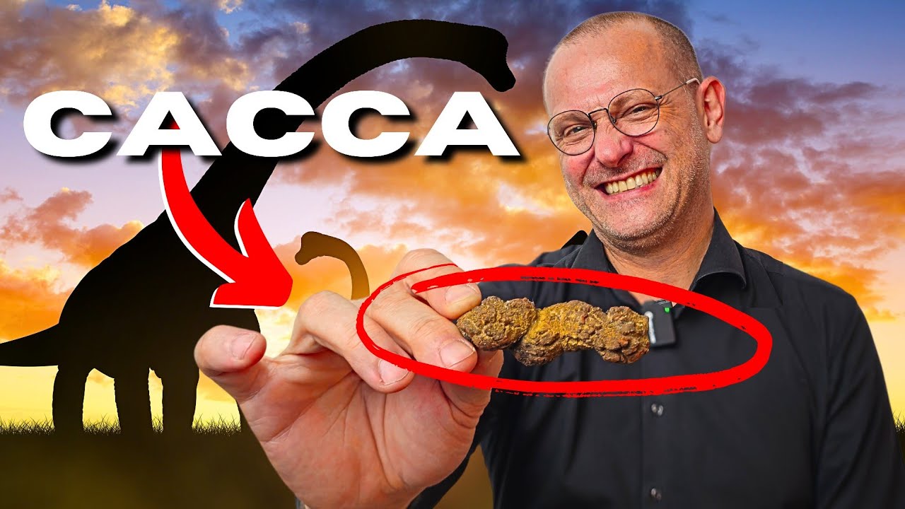 COPROLITE | QUESTA PIETRA &Egrave; UNA ME*DA 💩 | Lineagem / Gemme / Pietre Preziose