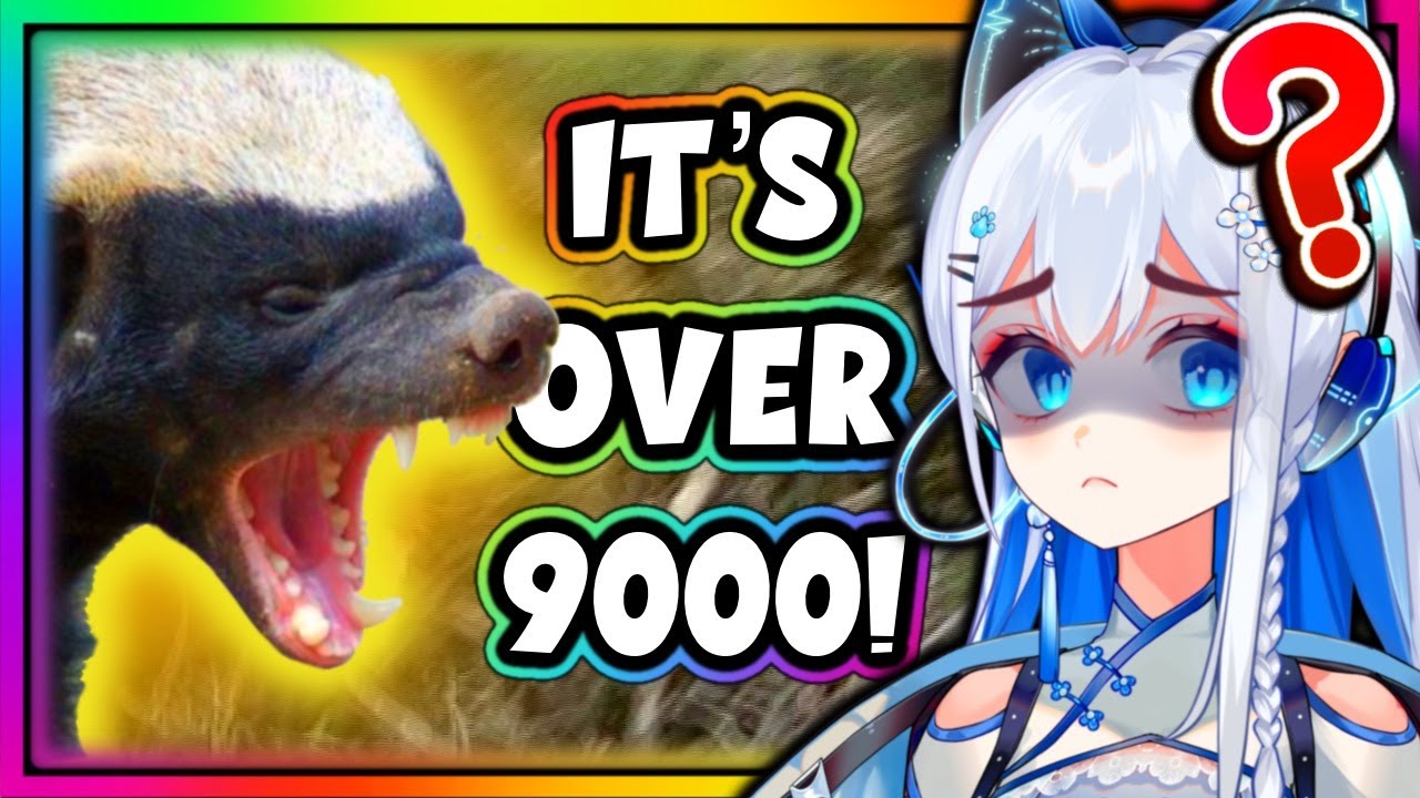 ARE HONEY BADGERS *ACTUALLY* THAT STRONG? (Casual Geographic)