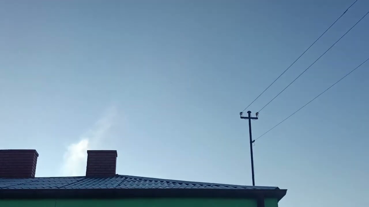 Голуби Славека Ловича 💪😀🎄. Первый день Рождества. С уважением 🖐️.