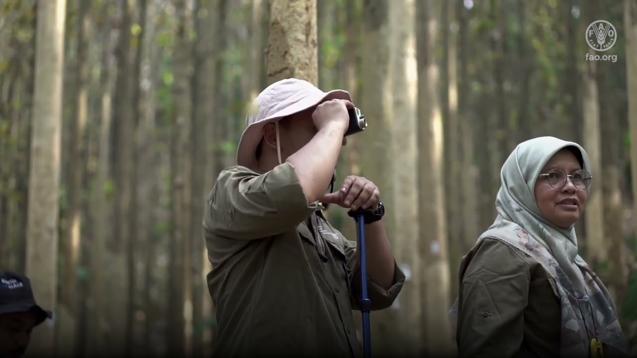 Inventarisasi Hutan Nasional 2.0 (IHN 2.0)