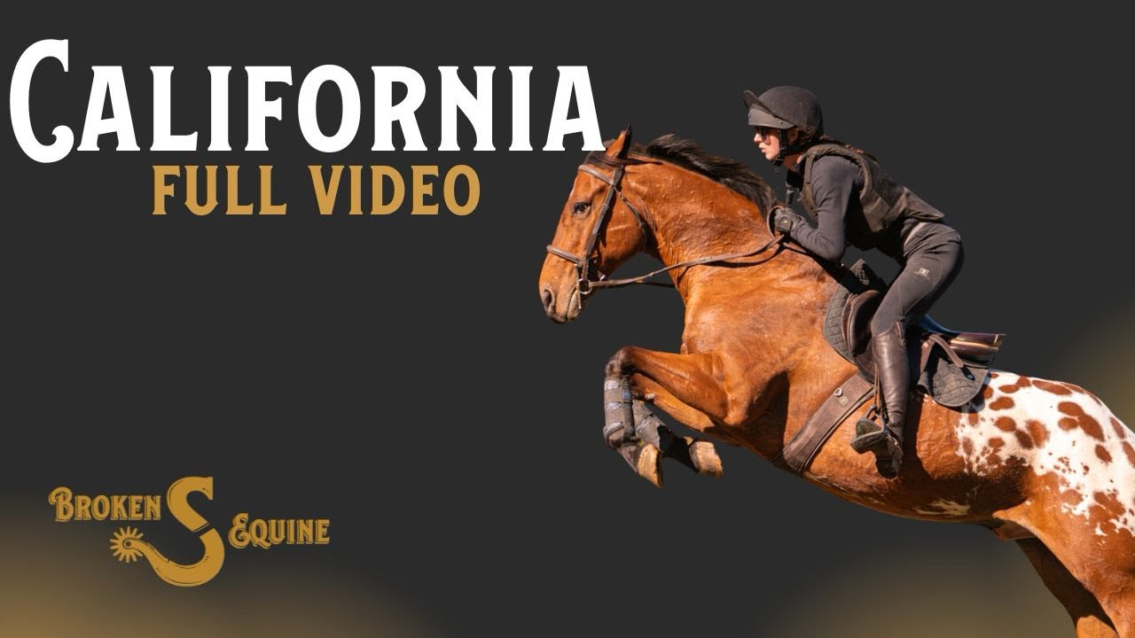 California - FULL VIDEO || Warmblood x Appaloosa || Dream Horse 