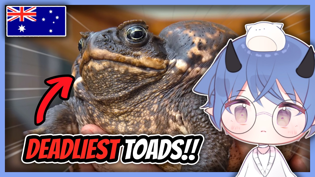 VTuber REACTS to 