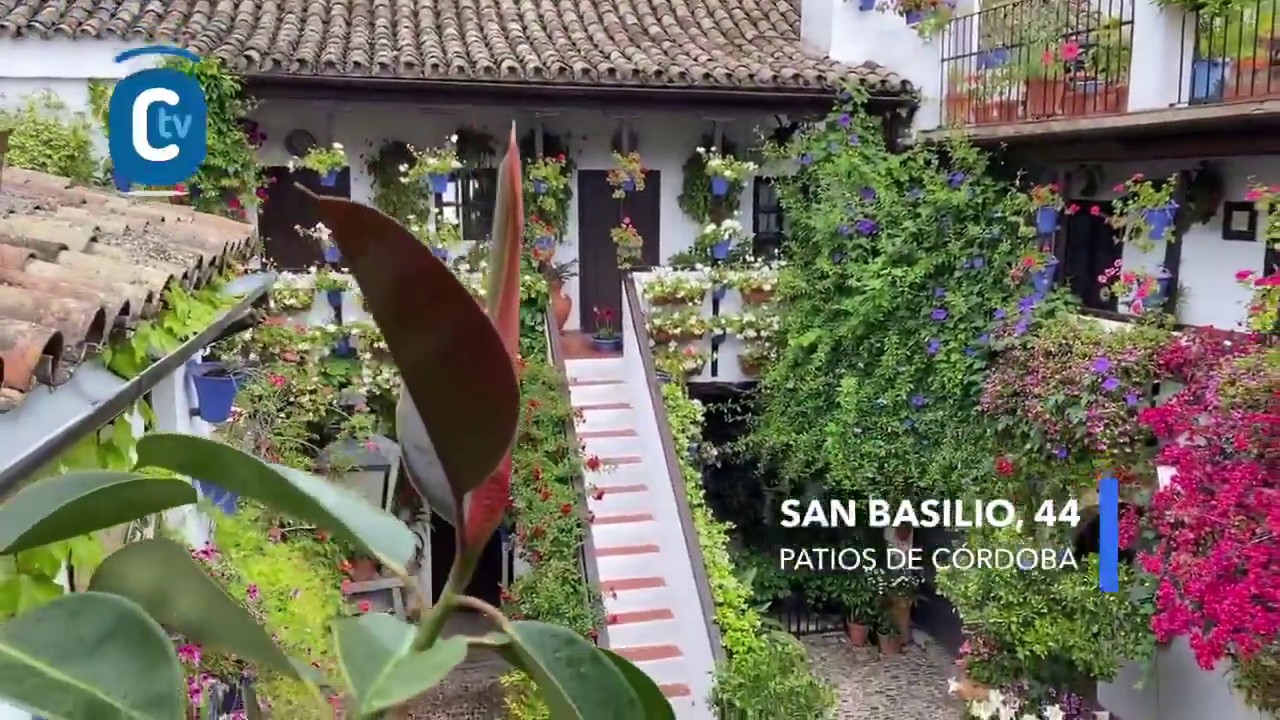 PROGRAMA ESPECIAL DE PATIOS, calle San Basilio, 44