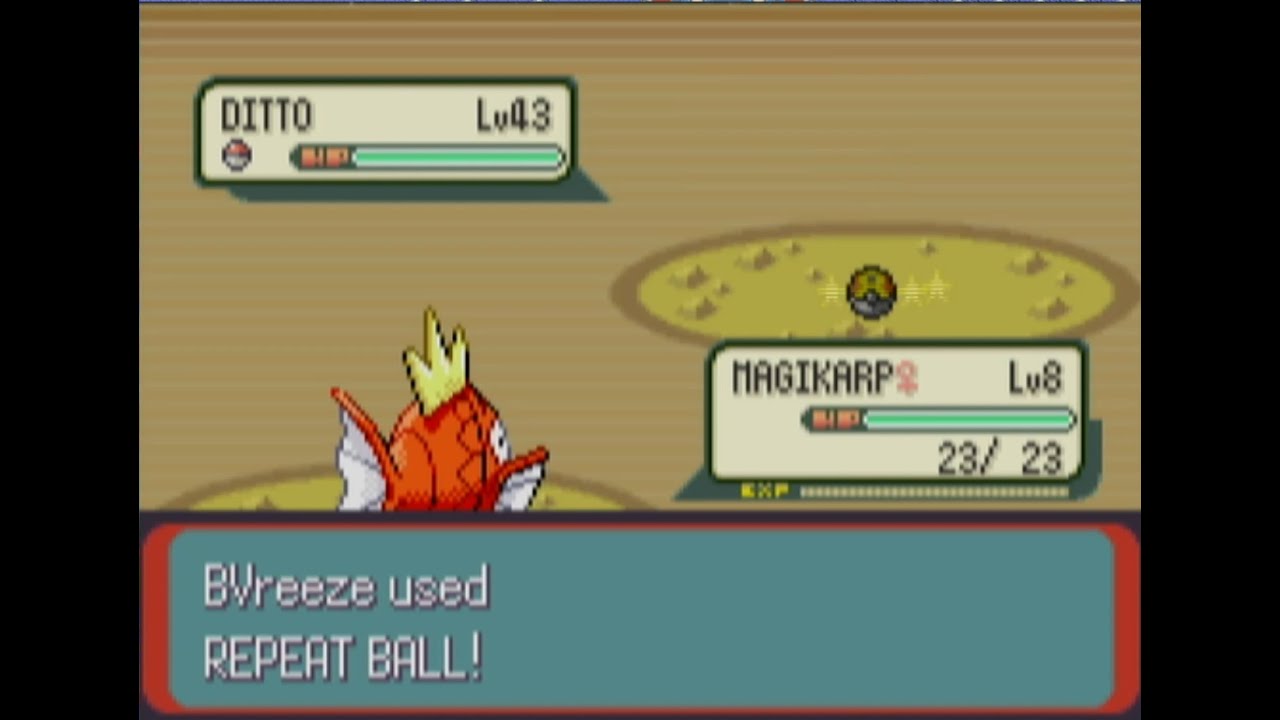 Preparing for the battle frontier and catching dittos