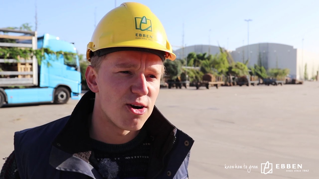 Werken bij Boomkwekerij Ebben! | Vacature Video