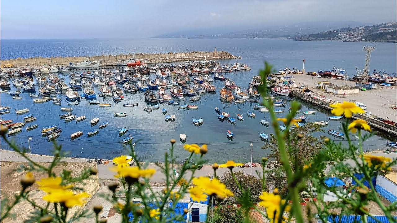 Visite de la casbah et le vieux port de Dellys (دلس).
