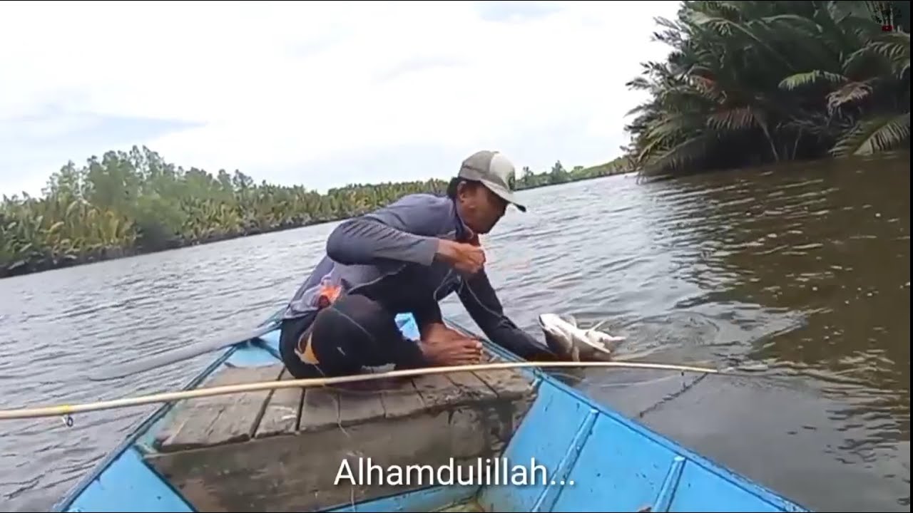 Spot lama yang terabaikan ternyata sudah dihuni Ikan Barramundi#Mancing joran bambu