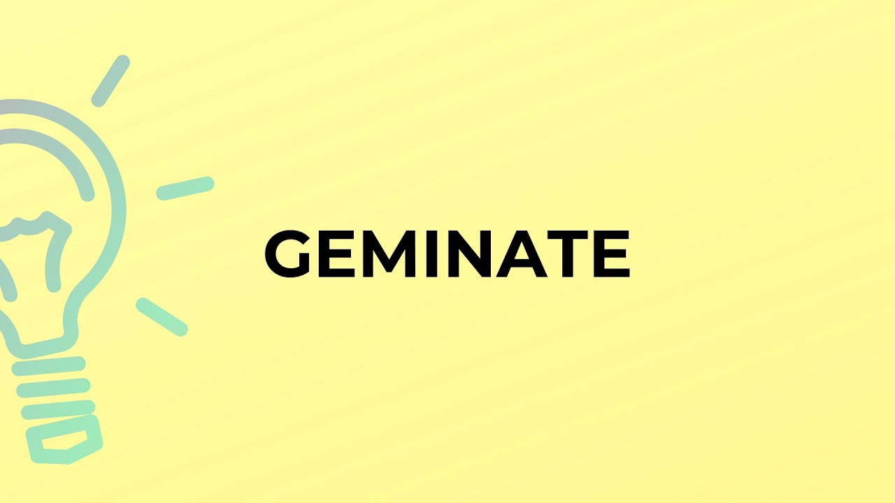 What is the meaning of the word GEMINATE?