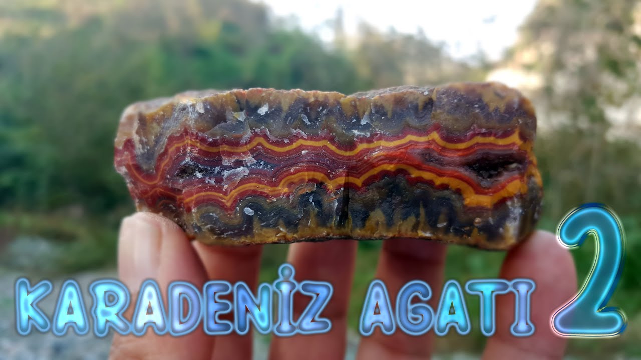 Karadeniz agatı 2