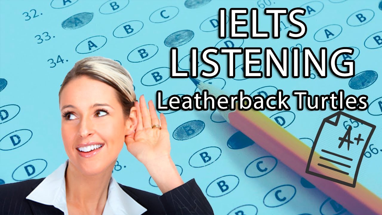 Кожистые черепахи | IELTS Listening Часть 4