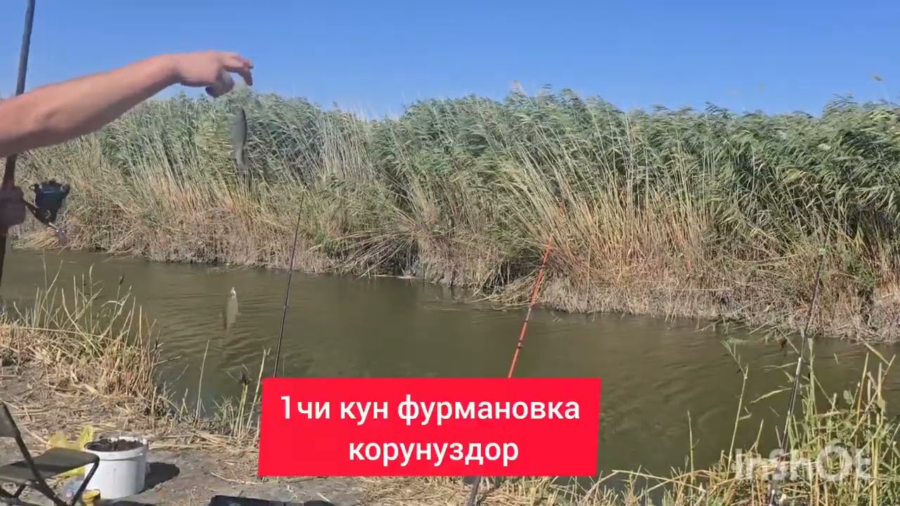 Фурмановка балык кармоо аябай жакшы болду эс алдык