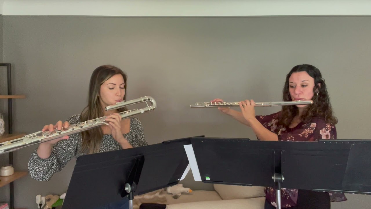 Bach Toccata and Fugue for Alto and Bass Flute