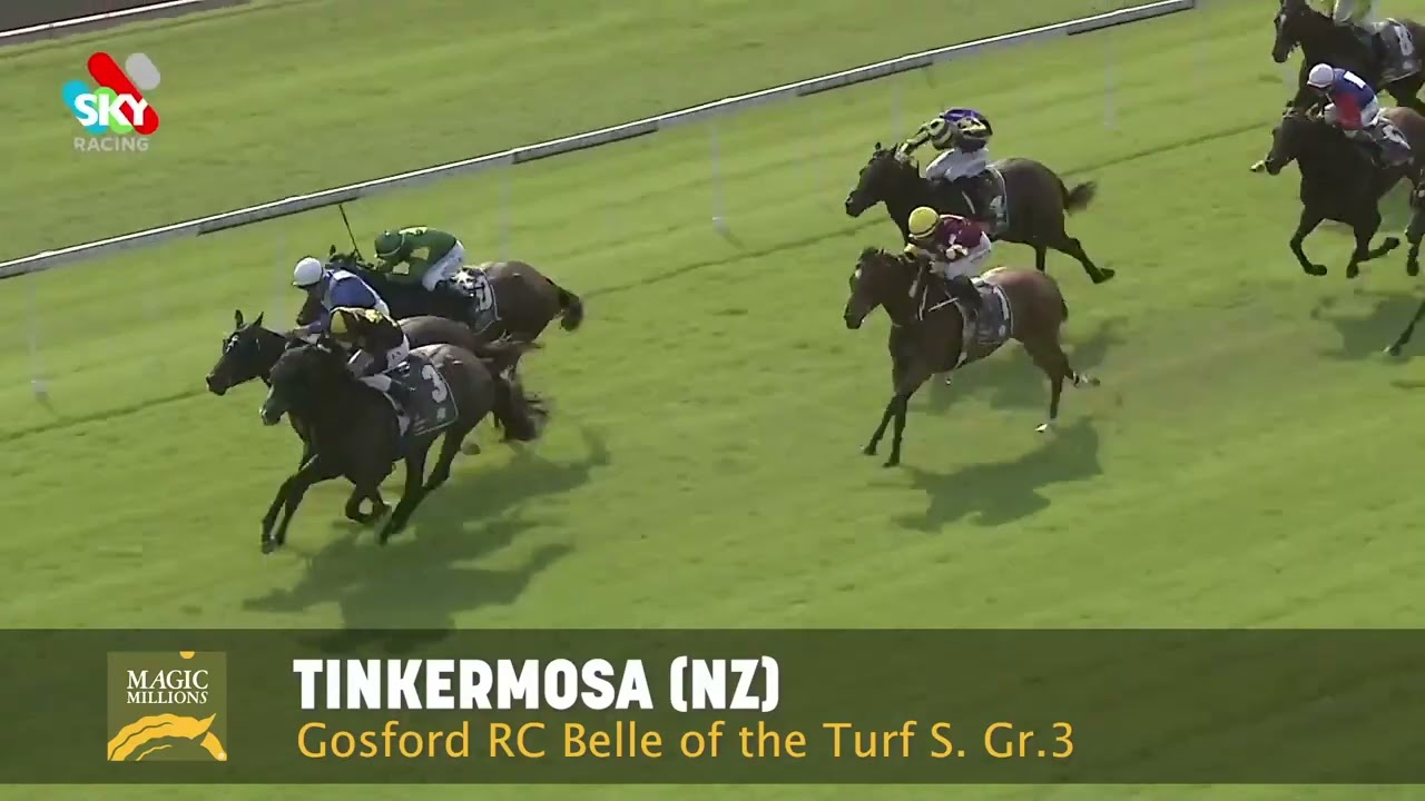 2023 National Sale - a reminder of how talented some of these broodmares were on the track