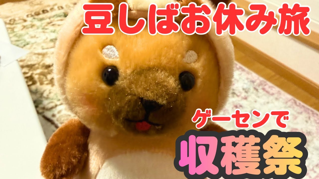 ゲーセンでいっぱいゲットだワン