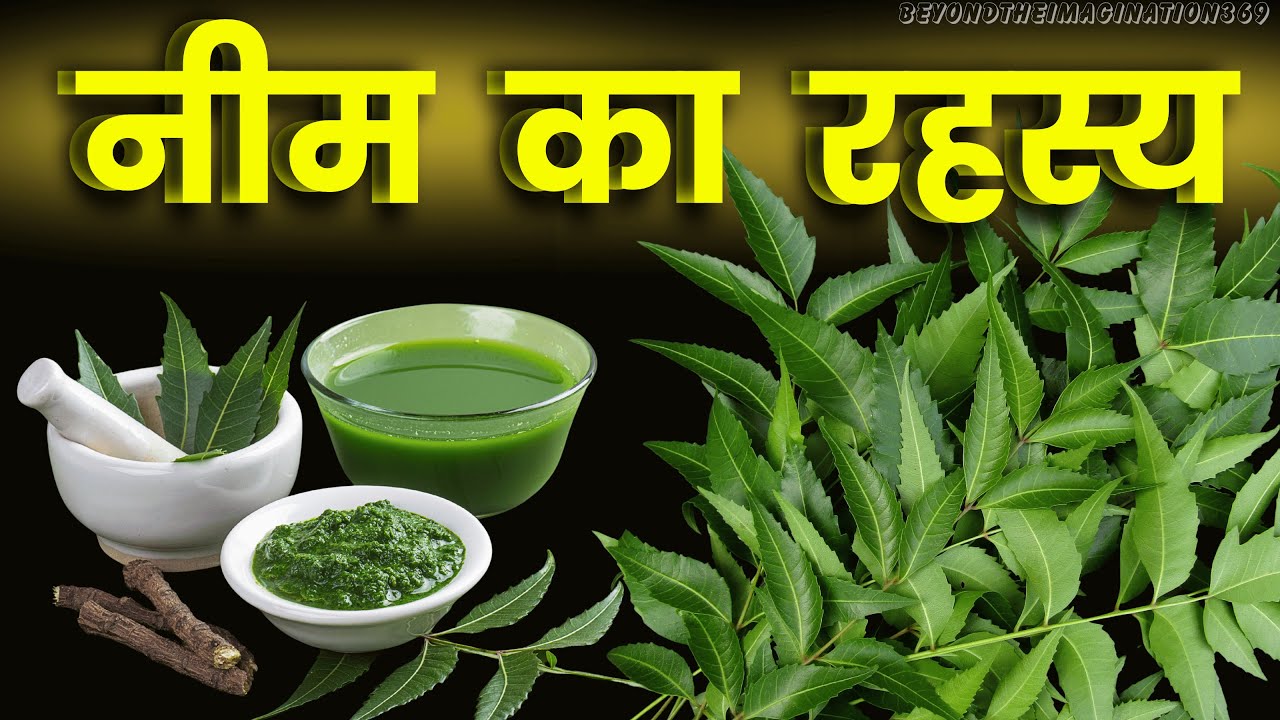 नीम का रहस्य : Nature’s Most Powerful Bio-Energy Machine