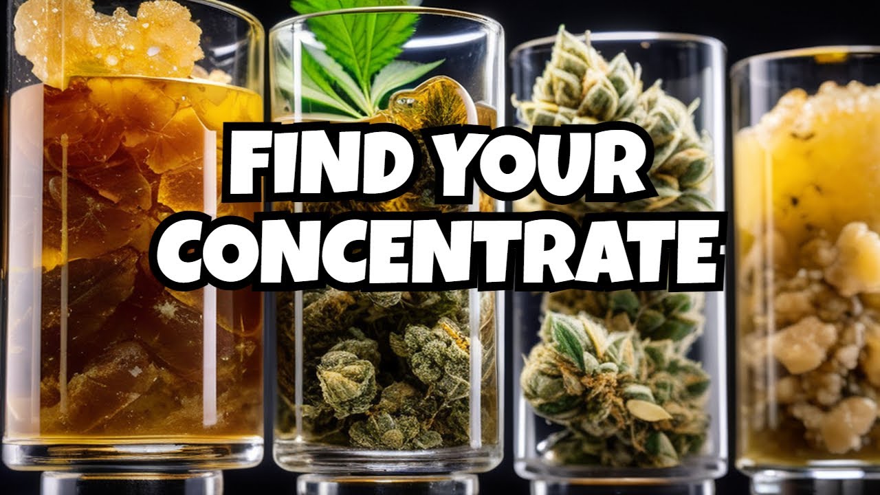 Cannabis Concentrates 101: Which Type is Right for You?