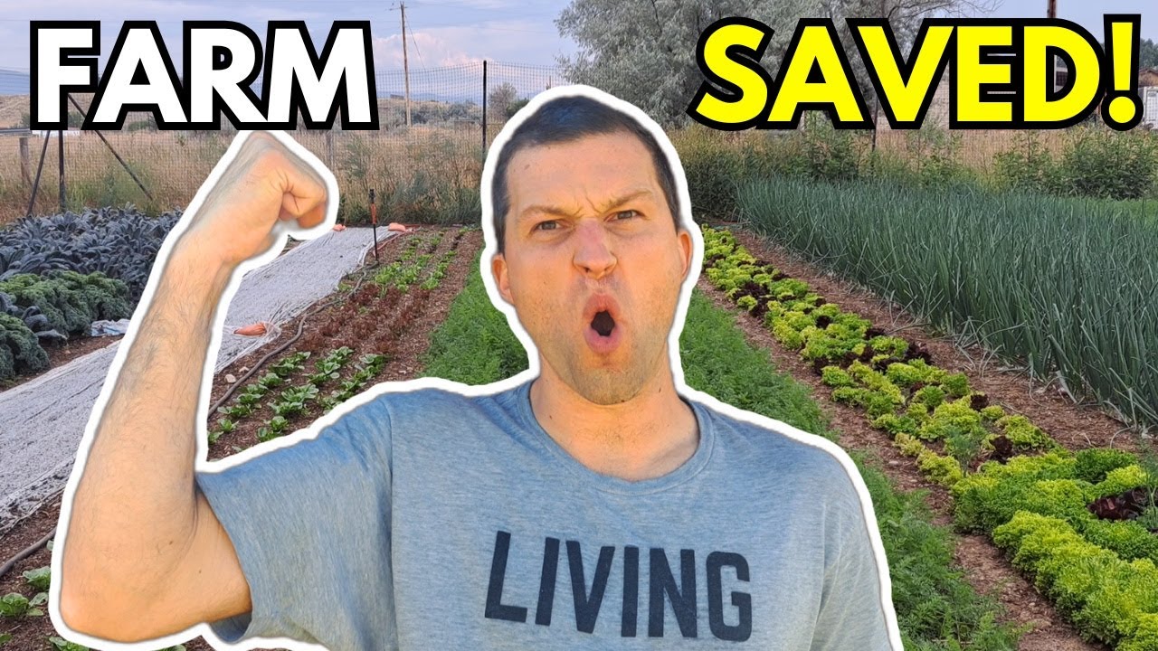 I Got a $50k FSA Loan With No Money | Now Making $4k/Week Farming